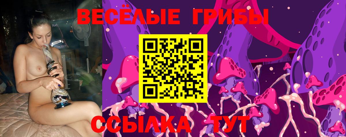 Галлюциногенные грибы Cubensis  Вход с VPN  Асбест 
